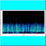 rec0010 (2)_snappingshrimpclip spectrogram.bmp